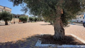 294327831_1093366354897279_123408932669283423_n