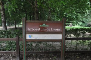 6. Lyons la Foret, Arboretum