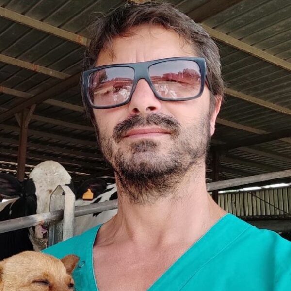 “Nessuna normativa vieta i movimenti dei tori all’interno di una azienda zootecnica”. Il parere del veterinario dopo l’incidente