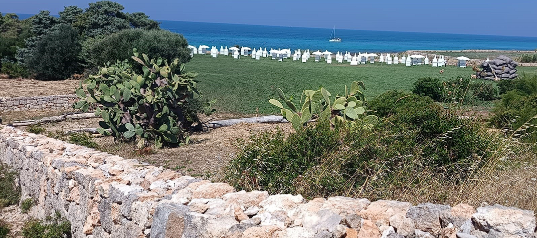 Costa Ripagnola, le associazioni diffidano Regione, Ministero, Comune e Capitaneria a verificare il rispetto delle autorizzazioni